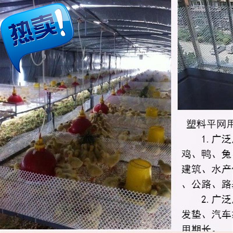 小鸡鹌鹑楼梯狗笼鸡苗家用鸡育雏塑料网鸭棚网漏粪纯料垫板网孔#|ruв категории основы строительных материалов, других основных строительных материалов, сеть безопасности - от Buy2taobao.com для оказания профессиональной услуги покупки агента Taobao
