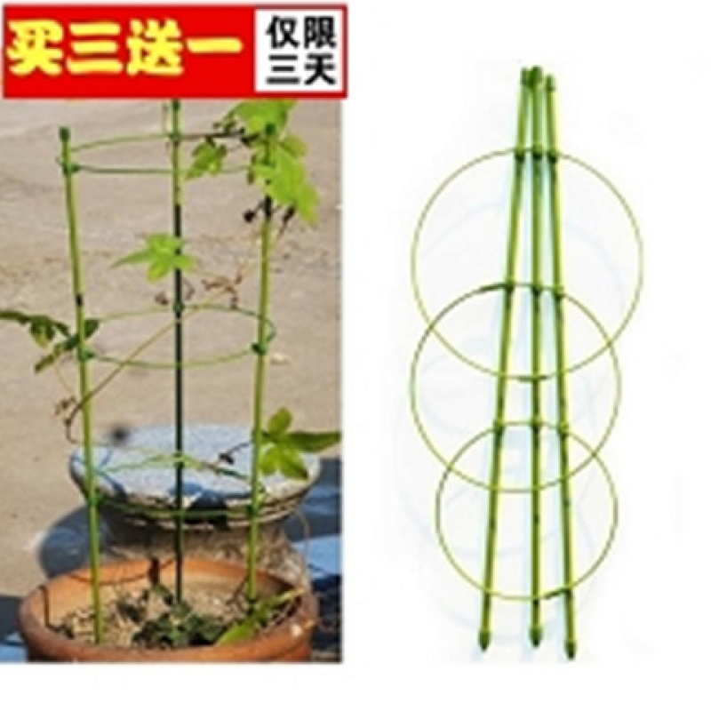 免安装【买三送一】爬藤支架花支架攀爬藤本植物花架铁艺撑花架子|ruв категории доставка цветов/цветок моделирования/растения садоводства, ваза/цветок/горшок/цветок (новый), забор - от Buy2taobao.com для оказания профессиональной услуги покупки агента Taobao