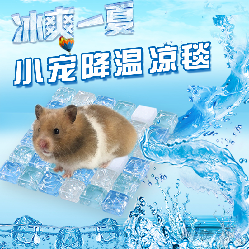 仓鼠夏天降温用品冰床冰屋散热板冰垫豚鼠避暑窝夏季消暑凉席凉垫|msdalam kategori haiwan peliharaan/makanan haiwan dan bekalan, hamsters kelas haiwan peliharaan dan lain-lain kecil, bekalan haiwan kesayangan kecil (baru), Haba plat dissipation - dari Buy2taobao.com untuk memberikan perkhidmatan ejen Taobao profesional membeli