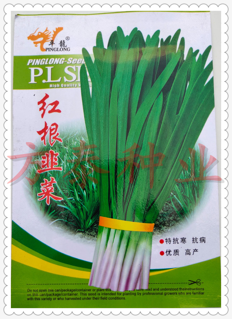 韭菜籽種紅根韭菜寬葉韭菜籽種植韭菜四季露天陽台在類目 農用物資, 種子/種苗, 蔬菜種子中 - 來自Buy2taobao.com提供專業的淘寶代購服務