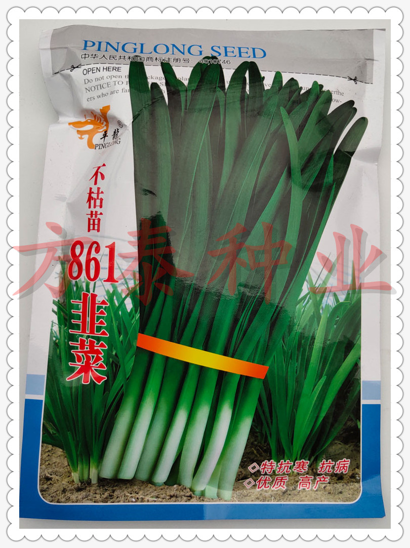 韭菜籽种大棚春播宽叶紫根韭菜不枯苗韭菜种子791韭菜种子在类目 农用物资, 种子/种苗, 蔬菜种子中 - 来自Buy2taobao.com提供专业的淘宝代购服务