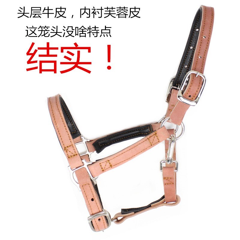 Bridle Harness Full cowhide Equestrian supplies Pony Top layer leather New Specialsin the Sports/Yoga/Fitness/Fans supplies , Equestrian Sports , Horse equipment , Horse/Leading tune category - from Buy2taobao.com to provide professional Taobao agent buy service
