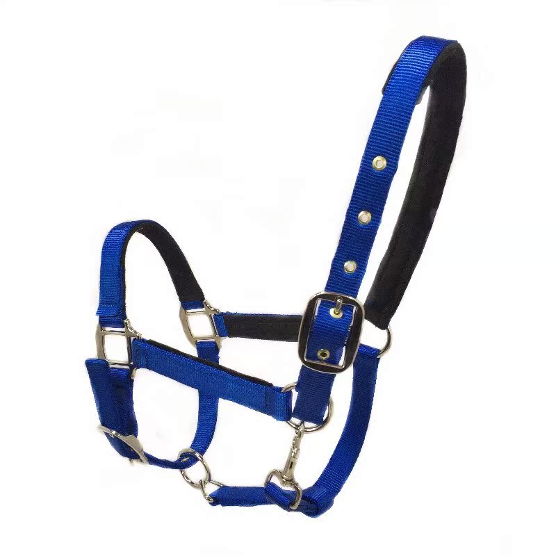 saddle Harness Bridle Leading tune pony colour Halter Equestrian supplies Bridlein the Sports/Yoga/Fitness/Fans supplies , Equestrian Sports , Horse equipment , Horse/Leading tune category - from Buy2taobao.com to provide professional Taobao agent buy service