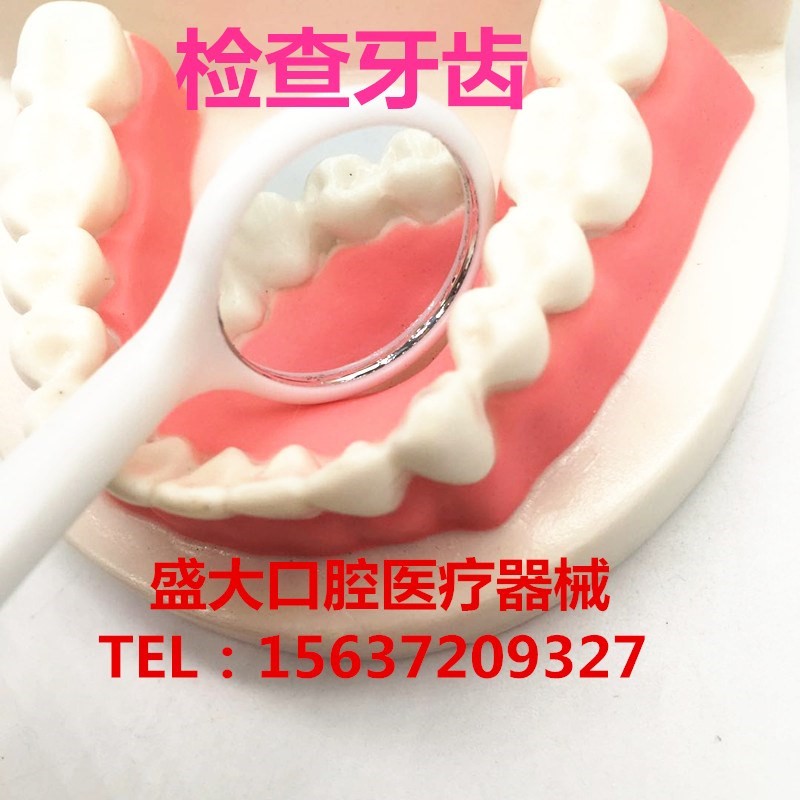 口腔模型牙齿模型牙齿牙科模型假牙模型幼儿园教具儿童刷牙玩具|ruв категории игрушка/коляска/головоломка/блоки/модель, спорт на открытом воздухе/досуг/традиционные игрушки, Другие открытый для игрушки - от Buy2taobao.com для оказания профессиональной услуги покупки агента Taobao