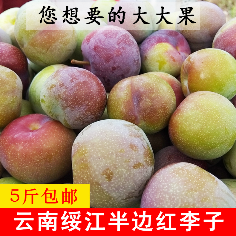 云南绥江半边红李子新鲜水果应季5斤孕妇脆红脱骨李四川土李子敏|msdalam kategori daging perikanan/Buah-buahan segar dan sayur-sayuran/dimasak, buah-buahan segar, Li Zi - dari Buy2taobao.com untuk memberikan perkhidmatan ejen Taobao profesional membeli