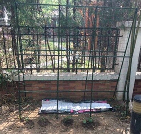 绿色豆角架黄瓜架丝瓜攀爬架藤蔓瓜棚架爬腾家庭蔬菜支架坚实露台在类目 鲜花速递/花卉仿真/绿植园艺, 园艺用品, 其它园艺用品中 - 来自Buy2taobao.com提供专业的淘宝代购服务
