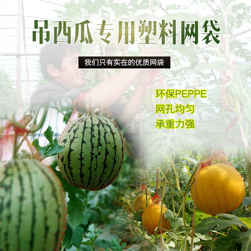 厂家直销西瓜网兜吊西瓜网袋哈密瓜网袋塑料网兜吊瓜网袋批发包邮在类目 办公设备/耗材/相关服务, 包装设备/标牌及耗材, 包裹袋/编织袋中 - 来自Buy2taobao.com提供专业的淘宝代购服务