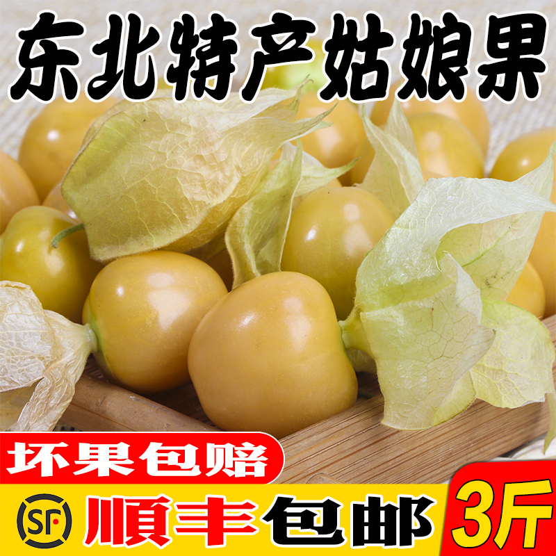 榛鲜御品东北特产黄姑娘果3斤装 新鲜当季水果果灯笼果顺丰包邮在类目 水产肉类/新鲜蔬果/熟食, 新鲜水果, 其它中 - 来自Buy2taobao.com提供专业的淘宝代购服务