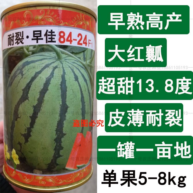 早佳8424 麒麟西瓜种子 无籽子四季播包邮高产甜早熟特大巨型新疆在类目 鲜花速递/花卉仿真/绿植园艺, 花卉/蔬果/草坪种子(新), 家庭园艺种子中 - 来自Buy2taobao.com提供专业的淘宝代购服务