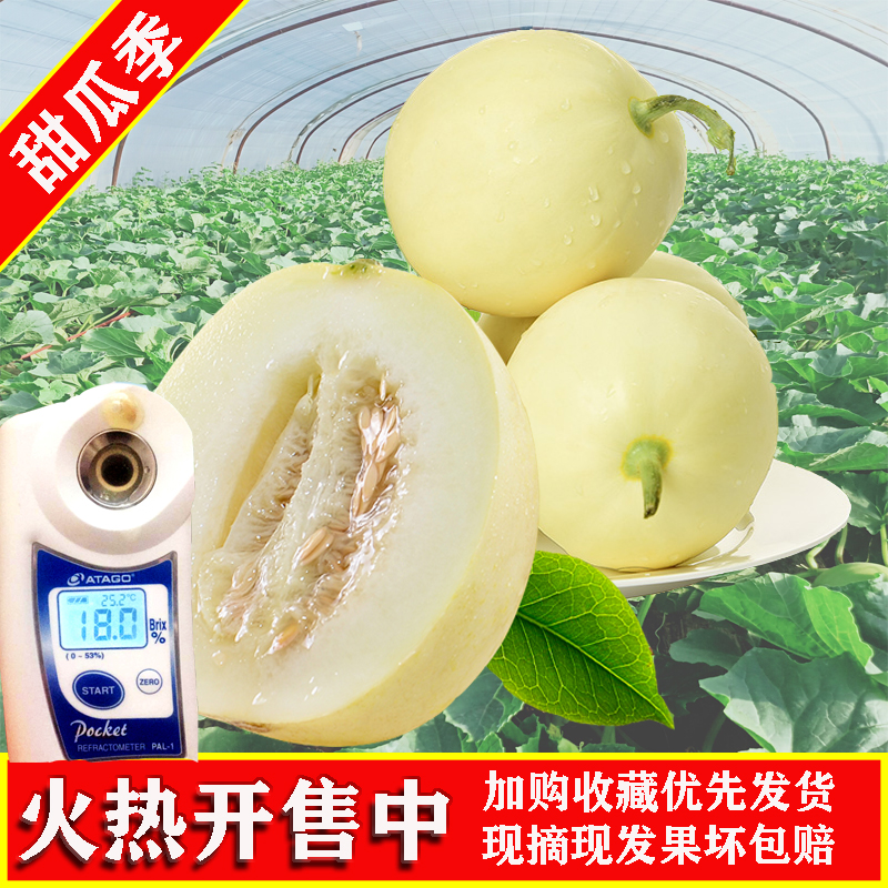 Shaanxi Yanliang muskmelon Oriental honey Number one Elizabeth Emerald muskmelon Boyang 9 east freshin the Aquatic meat/Fresh fruits and vegetables/Cooked , Fresh fruit , Melon category - from Buy2taobao.com to provide professional Taobao agent buy service