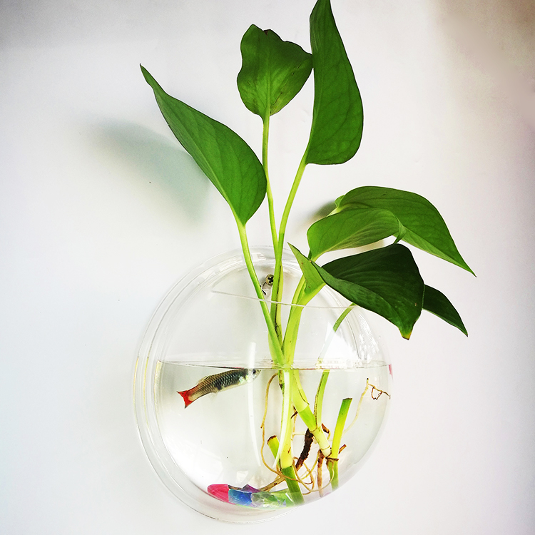 家居裝飾品花瓶插花花器水培花桶地中海簡約壁飾魚缸亞克力牆貼在類目 家居飾品, 花瓶/花器/仿真花/仿真飾品, 花器/花瓶, 花桶中 - 來自Buy2taobao.com提供專業的淘寶代購服務