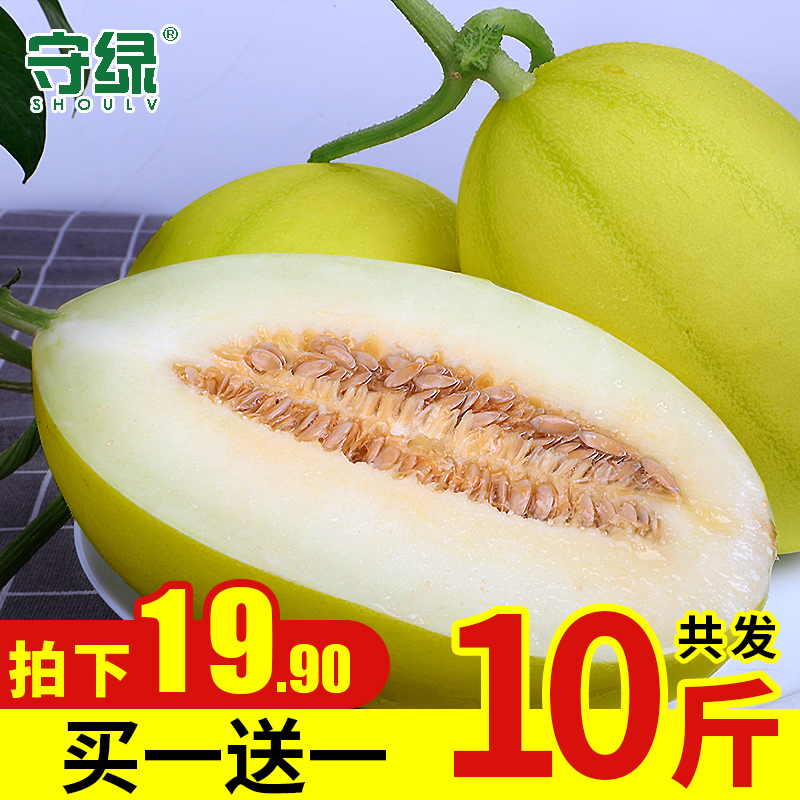 莘县柠檬蜜瓜带箱10斤新鲜当季水果甜瓜时令哈密瓜应季非阎良甜瓜|msdalam kategori daging perikanan/Buah-buahan segar dan sayur-sayuran/dimasak, buah-buahan segar, lain - dari Buy2taobao.com untuk memberikan perkhidmatan ejen Taobao profesional membeli