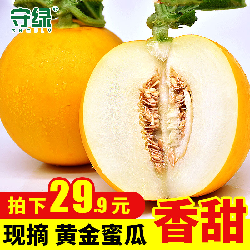 黄河蜜瓜 新鲜当季水果2个装黄金密瓜瑞红香脆甜瓜批发包邮在类目 水产肉类/新鲜蔬果/熟食, 新鲜水果, 其它中 - 来自Buy2taobao.com提供专业的淘宝代购服务
