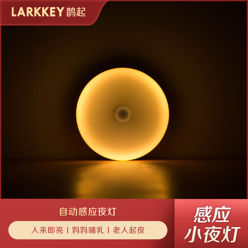 LARKKEY室内夜间小灯智能感应 走廊过道光控家用夜灯婴儿喂奶护眼在类目 智能设备, 智能家庭, 智能灯光中 - 来自Buy2taobao.com提供专业的淘宝代购服务