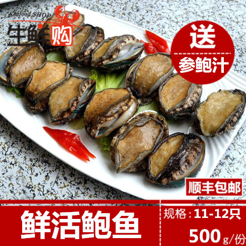 野生活鮑魚 大連鮮活鮑魚大鮑魚海鮮 鮮活500g 11-12頭規格在類目 水產肉類/新鮮蔬果/熟食, 海鮮/水產品/製品, 貝類, 鮑魚中 - 來自Buy2taobao.com提供專業的淘寶代購服務
