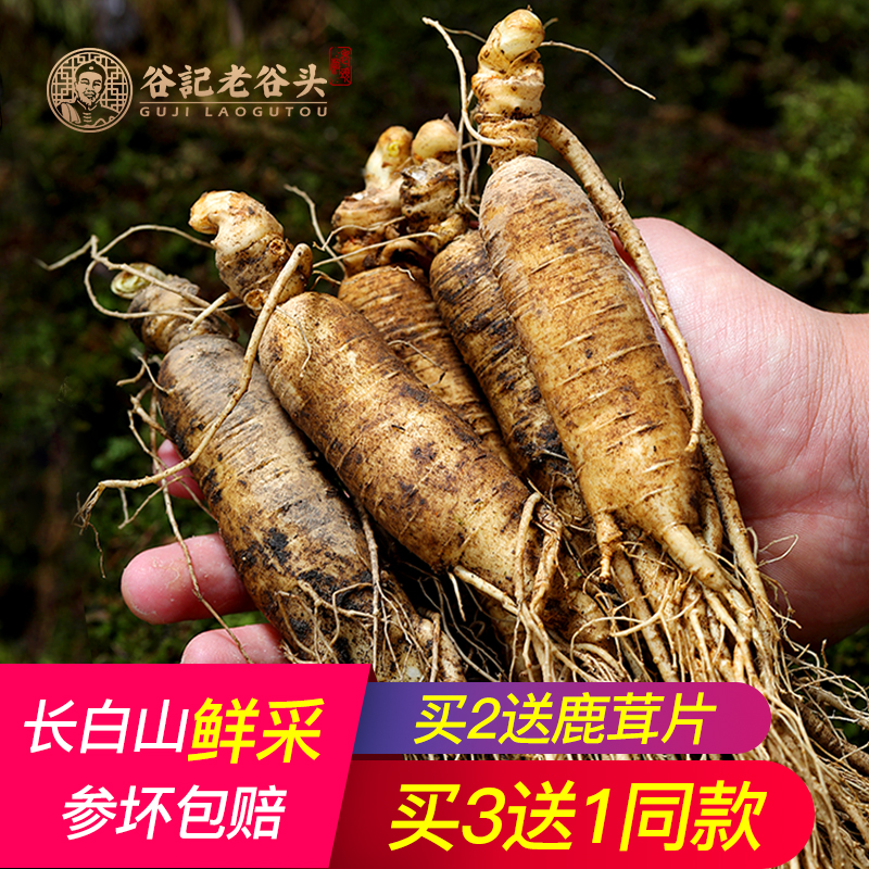 Old Valley Head Fresh ginseng Changbai fresh Northeast Jilin Paojiu White Ginseng Fresh keeping 245 gramin the Traditional nourishing food , Ginseng tonic , Ginseng/Garden ginseng category - from Buy2taobao.com to provide professional Taobao agent buy service