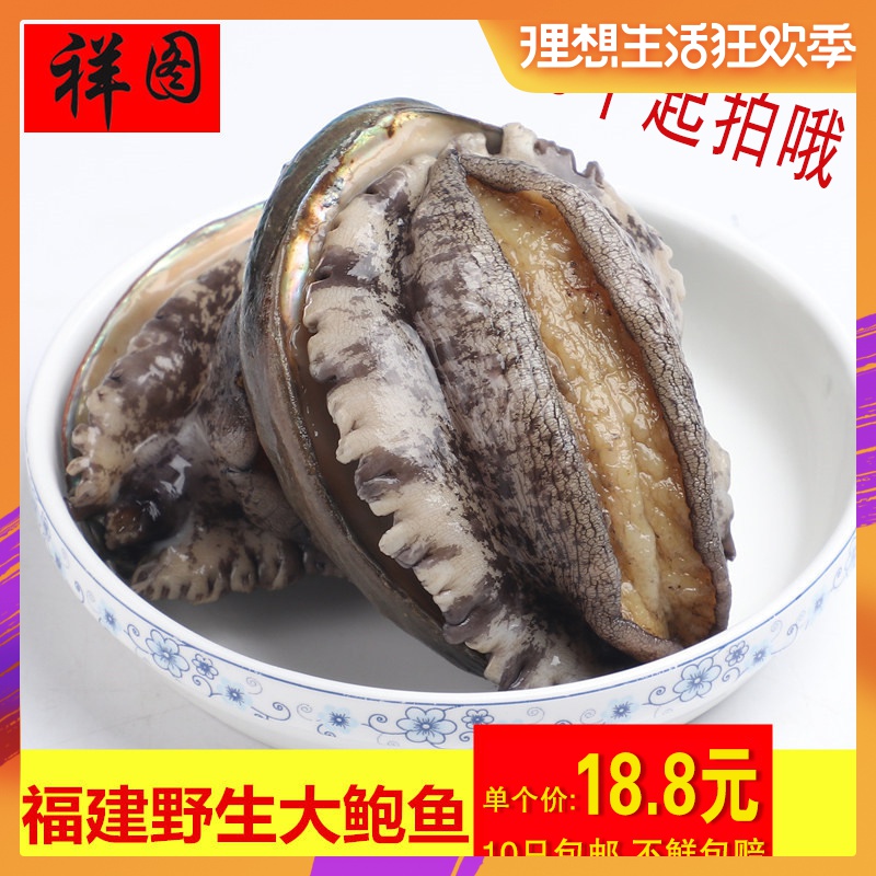祥图厦门野生鲜活 大鲍鱼 大个头5-7头鲍 10个顺丰包邮(单个价)|msdalam kategori daging perikanan/Buah-buahan segar dan sayur-sayuran/dimasak, makanan laut/produk akuatik/produk, kerang, Abalone - dari Buy2taobao.com untuk memberikan perkhidmatan ejen Taobao profesional membeli