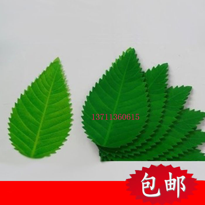 树叶型寿司草寿司装饰叶子叶片刺身料理胶叶日本料理寿司叶200枚|msdalam kategori dapur/memasak Appliances, Alat dapur/Penyimpanan dapur, Sushi peralatan DIY, sushi Kit/kit memasak - dari Buy2taobao.com untuk memberikan perkhidmatan ejen Taobao profesional membeli