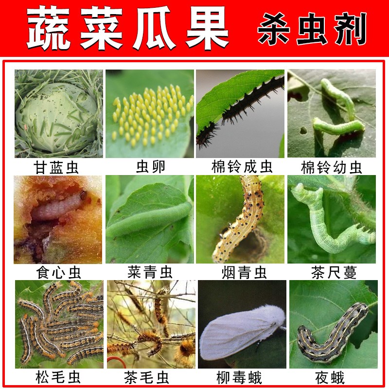 蔬菜杀虫剂无毒通用菜青虫毛毛虫小菜蛾蚜虫肉虫花卉多肉植物青菜|msdalam kategori penghantaran bunga/bunga simulasi/tumbuhan berkebun, Gardening Supplies, Pharmacy bunga - dari Buy2taobao.com untuk memberikan perkhidmatan ejen Taobao profesional membeli