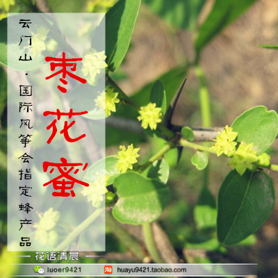 云门山野生天然原生态蜂蜜 枣花蜜500g 国际风筝会指定|ruв категории традиционные питательный пища, продуктов пчеловодства, других продуктов пчеловодства - от Buy2taobao.com для оказания профессиональной услуги покупки агента Taobao