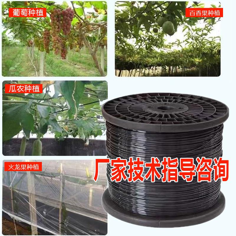 葡萄厂家塑钢线棚架多肉塑钢窗温室支架线卡扣直葡萄架遮阳网搭架在类目 鲜花速递/花卉仿真/绿植园艺, 园艺用品, 其它园艺用品中 - 来自Buy2taobao.com提供专业的淘宝代购服务