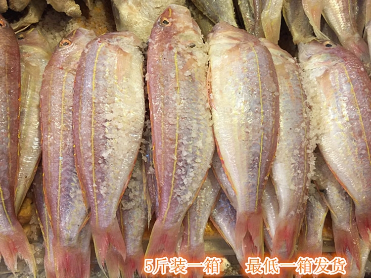 包邮 阳江特色一夜水刀鲤咸鱼一夜埕咸鱼 金三线咸鱼 湿咸鱼5斤装|msdalam kategori daging perikanan/Buah-buahan segar dan sayur-sayuran/dimasak, makanan laut/produk akuatik/produk, produk ikan, ikan kering - dari Buy2taobao.com untuk memberikan perkhidmatan ejen Taobao profesional membeli