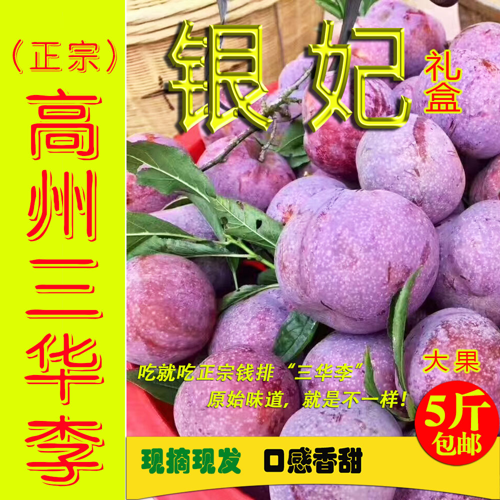 银妃大果礼盒正宗高州钱排三华李脆李新鲜水果李子包邮在类目 水产肉类/新鲜蔬果/熟食, 新鲜水果, 李子中 - 来自Buy2taobao.com提供专业的淘宝代购服务