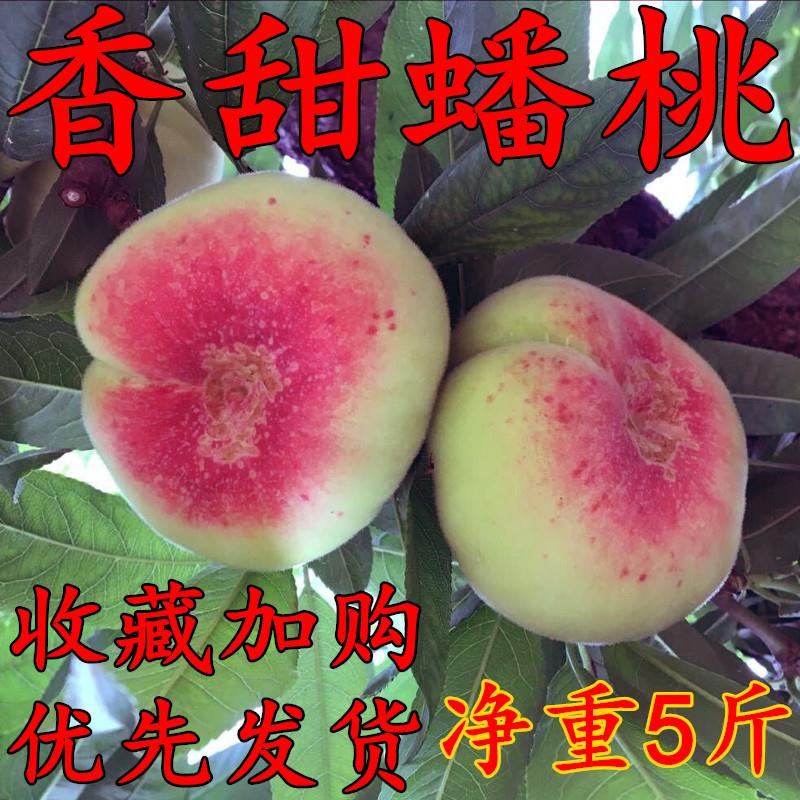 Shanxi fresh Peach Gold Oil pregnant woman fruit Watertight Peach 5in the Aquatic meat/Fresh fruits and vegetables/Cooked , Fresh fruit , Peach  category - from Buy2taobao.com to provide professional Taobao agent buy service