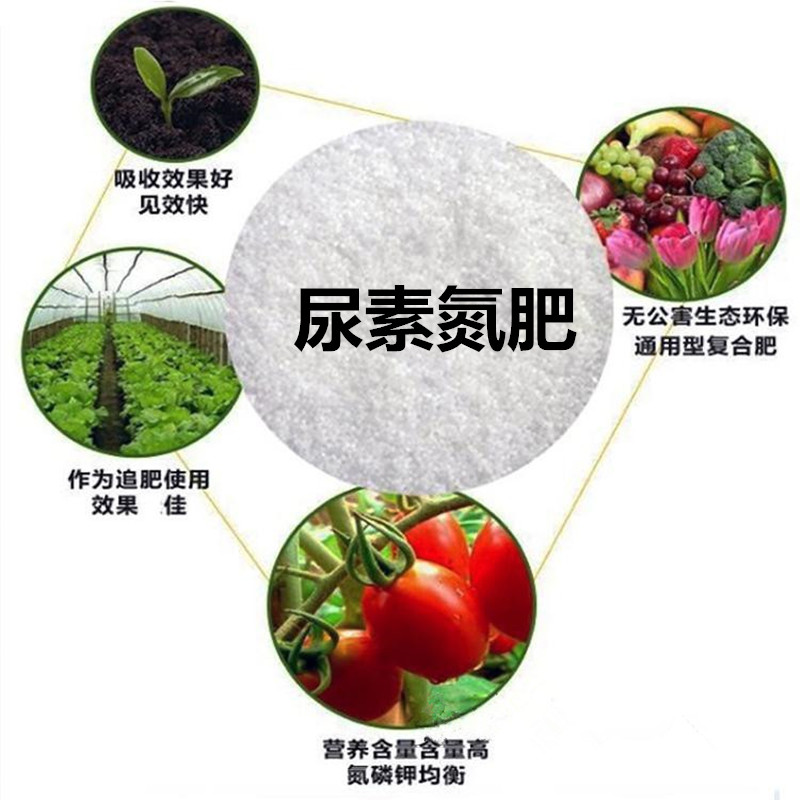 urea Fertilizer Stanley Compound fertilizer Vegetables Fertilizers Organic Fertilizer Potted plant General type Fertilizer Fertilizer Nitrogen indoorin the Flower delivery/Flowers simulation/Plants gardening , Gardening supplies , Gardening Fertilizer/Nutrient/Nutrient solution category - from Buy2taobao.com to provide professional Taobao agent buy service
