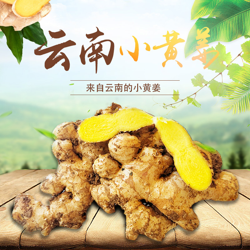 Yunnan Small turmeric 9 pounds Ginger month Ginger ginger wild Pure yellow Tsuchiyama Ginger Vegetablesin the Aquatic meat/Fresh fruits and vegetables/Cooked , Fresh vegetables/Vegetable products , Ginger category - from Buy2taobao.com to provide professional Taobao agent buy service