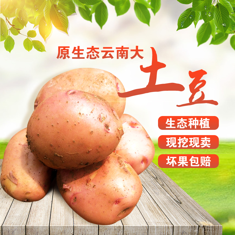 云南高原山地大土豆净果9斤包邮 农家新鲜红皮黄心洋芋马铃薯蔬菜|ruв категории водной мясо/свежие фрукты и овощи/еда, свежие овощи/овощной продукции, свежие овощи, картофель - от Buy2taobao.com для оказания профессиональной услуги покупки агента Taobao