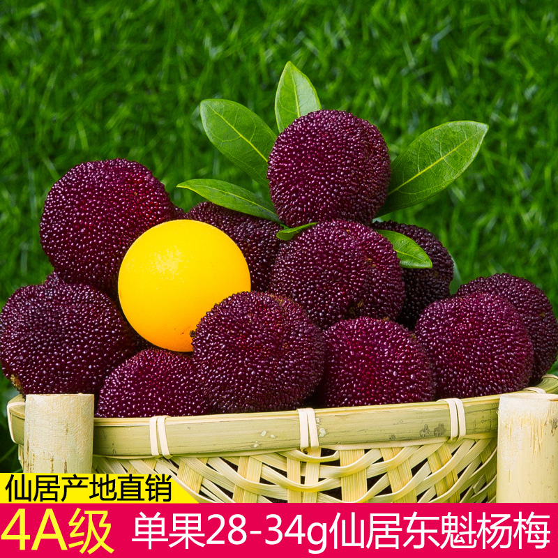 仙居杨梅新鲜4A级东魁杨梅大果 新鲜水果6斤批发顺丰包邮|ruв категории водной мясо/свежие фрукты и овощи/еда, свежие фрукты, другие - от Buy2taobao.com для оказания профессиональной услуги покупки агента Taobao
