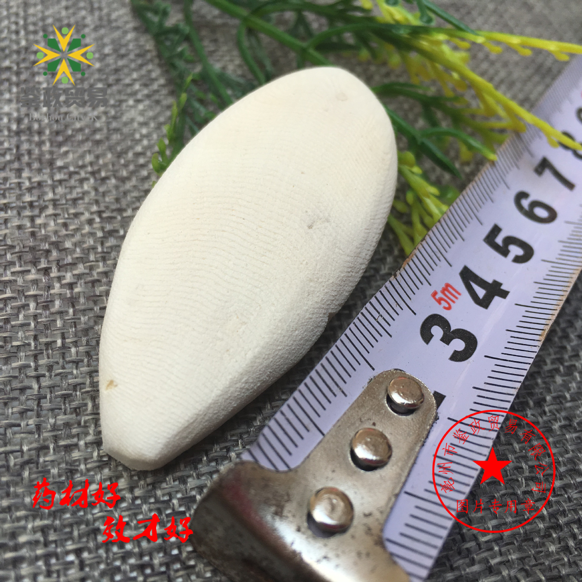 Super parrot Dedicated polish disinfect Calcium supplement Cuttlefish bone Cuttlebone Budgerigar Cuttlefish bone Peony bird foodin the Pet/Pet food and supplies , Birds and supplies , Bird food category - from Buy2taobao.com to provide professional Taobao agent buy service