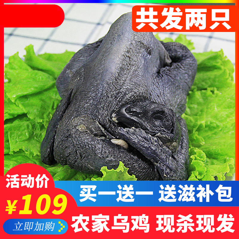 乌骨鸡活体现杀现发白凤乌鸡土鸡散养农家五黑鸡野鸡肉新鲜包邮在类目 水产肉类/新鲜蔬果/熟食, 生肉/肉制品, 鸡肉类, 整鸡中 - 来自Buy2taobao.com提供专业的淘宝代购服务