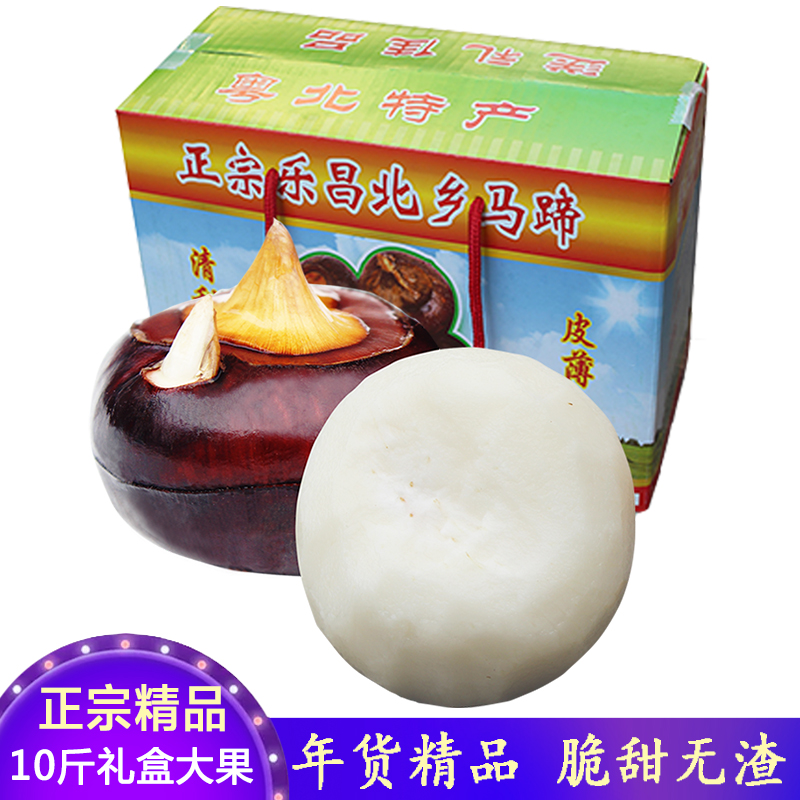 精品礼盒特产北乡红马蹄10斤6A大个脆甜无渣新鲜荸荠水果韶关乐昌在类目 水产肉类/新鲜蔬果/熟食, 新鲜蔬菜/蔬菜制品, 新鲜蔬菜, 其它中 - 来自Buy2taobao.com提供专业的淘宝代购服务