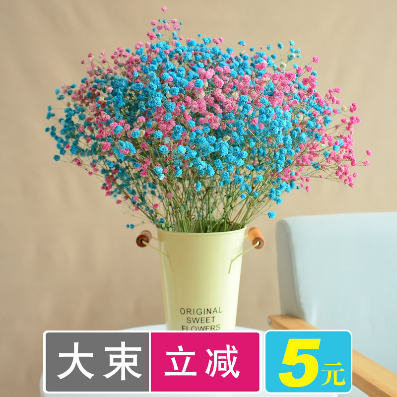 Gypsophila Dried flowers Bouquet of flowers a living room Home Furnishing a decoration decorate vase suit diy Spend eternity Powder Bluein the Home accessories , Vase/Flower/Artificial flowers/Imitation jewelry , Dried flowers/Petal/Dried package/Dry twigs category - from Buy2taobao.com to provide professional Taobao agent buy service