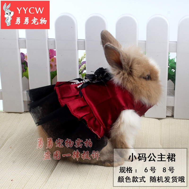 宠物兔子衣服兔子宠物衣服宠物兔子衣服夏 夏季宠物兔子的衣服|msdalam kategori haiwan peliharaan/makanan haiwan dan bekalan, Haiwan pakaian dan aksesori, haiwan pakaian/baju hujan - dari Buy2taobao.com untuk memberikan perkhidmatan ejen Taobao profesional membeli