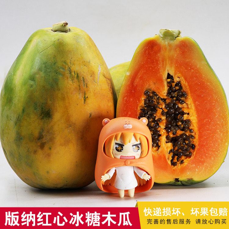 海南三亚新鲜水果大青牛奶红肉冰糖百草味青皮木瓜5斤全国包邮在类目 水产肉类/新鲜蔬果/熟食, 新鲜水果, 木瓜中 - 来自Buy2taobao.com提供专业的淘宝代购服务