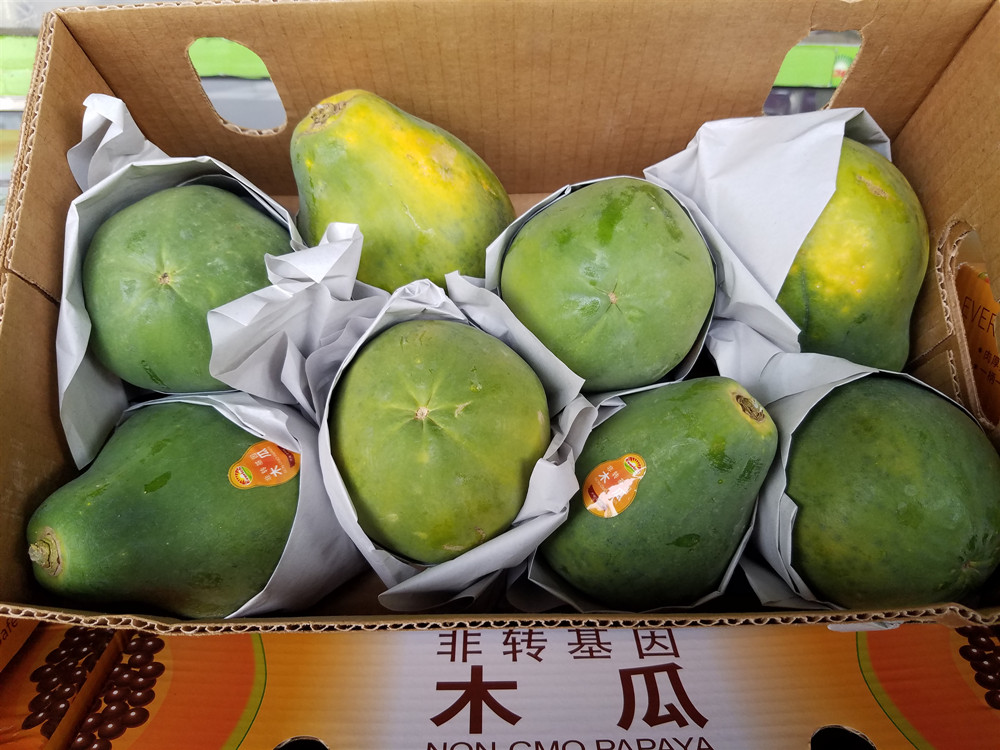 新鲜水果都乐菲律宾非转基因小木瓜 进口木瓜整箱净重8斤限北京|msdalam kategori daging perikanan/Buah-buahan segar dan sayur-sayuran/dimasak, buah-buahan segar, Papaya - dari Buy2taobao.com untuk memberikan perkhidmatan ejen Taobao profesional membeli