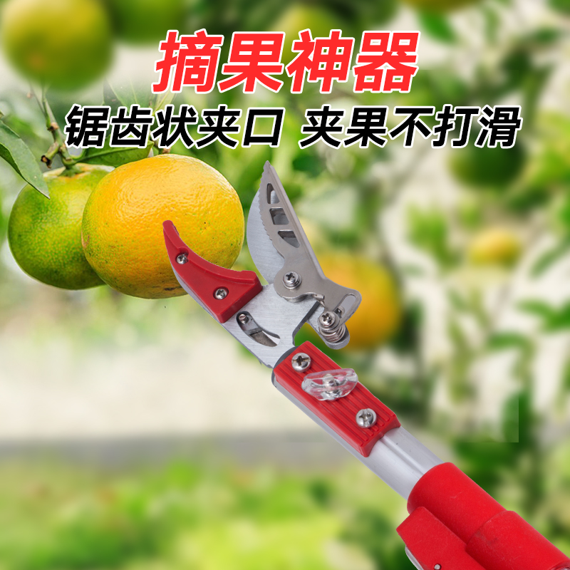 高空采果剪刀摘果器伸缩高枝剪刀锯高空摘果修枝剪刀果树摘果剪刀|msdalam kategori penghantaran bunga/bunga simulasi/tumbuhan berkebun, Gardening Supplies, berkebun/pisau/Shears/Saw (baru), gunting - dari Buy2taobao.com untuk memberikan perkhidmatan ejen Taobao profesional membeli