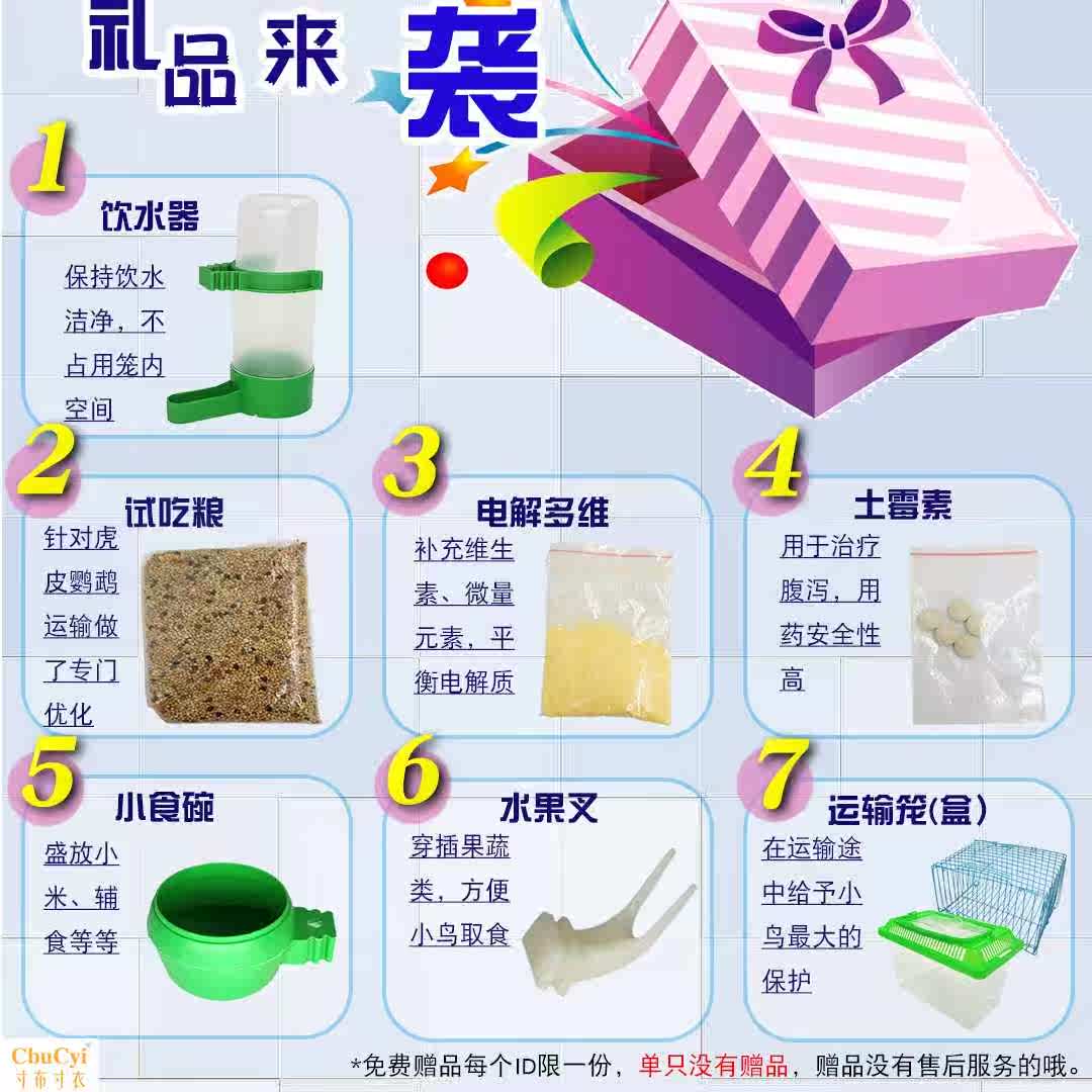 虎皮鹦鹉活鸟手养说话鸟手玩观赏宠物鸟幼鸟雏鸟可下蛋繁殖娇凤在类目 宠物/宠物食品及用品, 鸟类及用品, 鸟中 - 来自Buy2taobao.com提供专业的淘宝代购服务