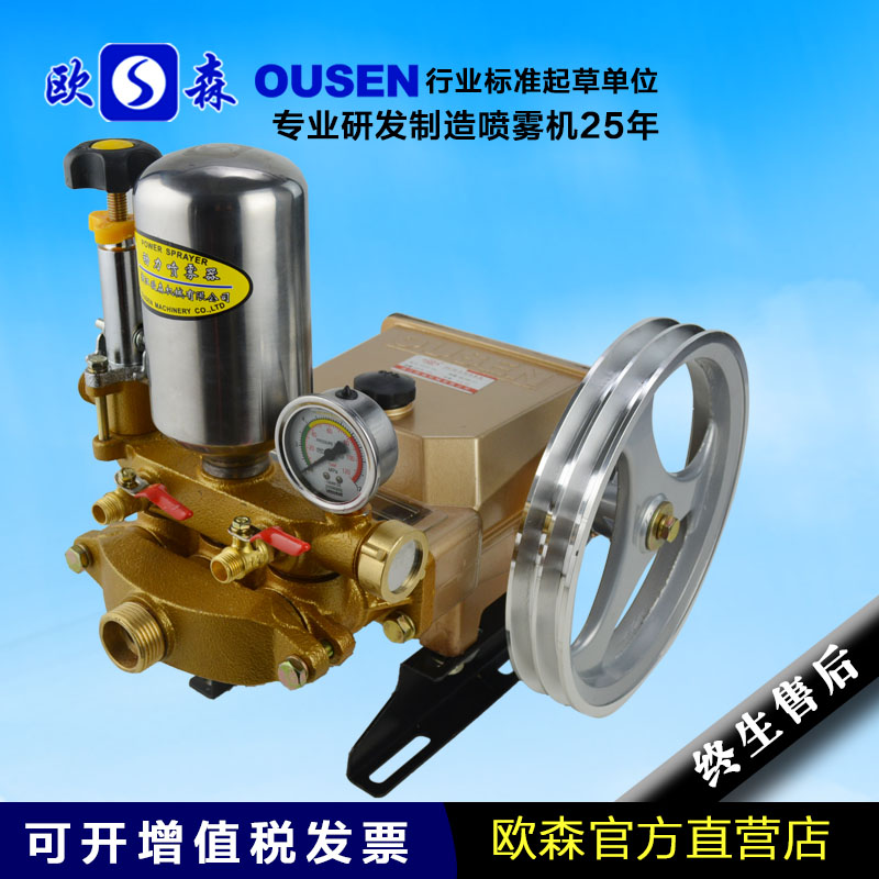 Triplex plunger pump 22/30 Agriculture Sprayers Fight drug pumps high pressure gardens gardens Sprayer butterin the Flower delivery/Flowers simulation/Plants gardening , Gardening supplies , Other Garden Supplies category - from Buy2taobao.com to provide professional Taobao agent buy service
