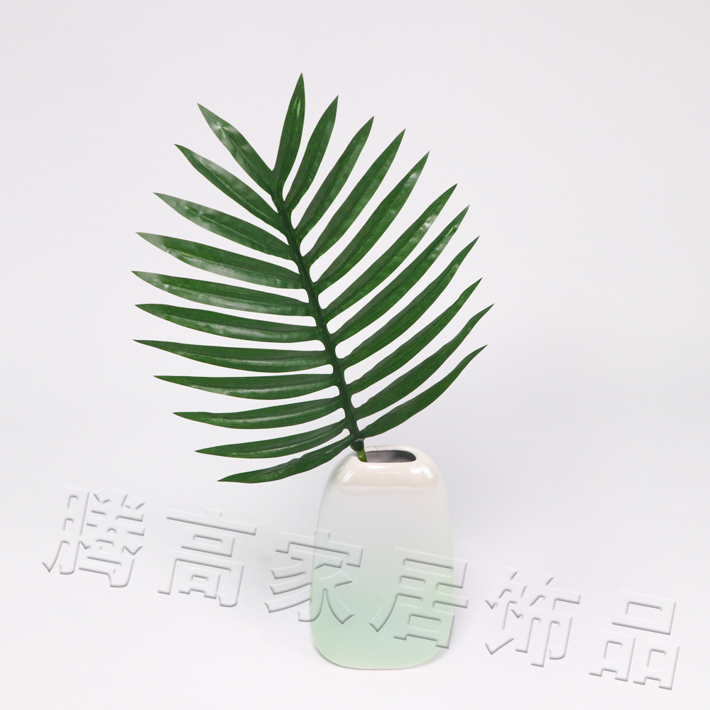 北欧风长杆绿植仿真蕨类植物家居摆件文竹棕榈叶花艺配材拍摄道具在类目 家居饰品, 花瓶/花器/仿真花/仿真饰品, 仿真植物盆景中 - 来自Buy2taobao.com提供专业的淘宝代购服务