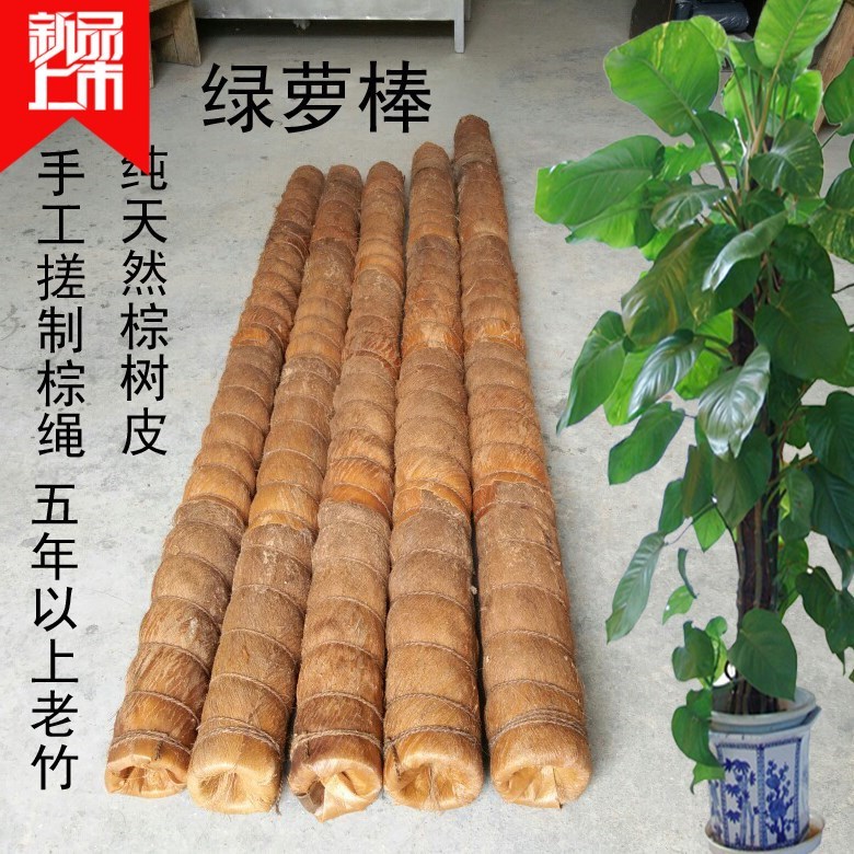 綠蘿柱綠蘿樁綠蘿棒綠蘿棕皮棒粽皮椰棕花盆盆栽用可定做包郵在類目 鮮花速遞/花卉仿真/綠植園藝, 園藝用品, 其它園藝用品中 - 來自Buy2taobao.com提供專業的淘寶代購服務