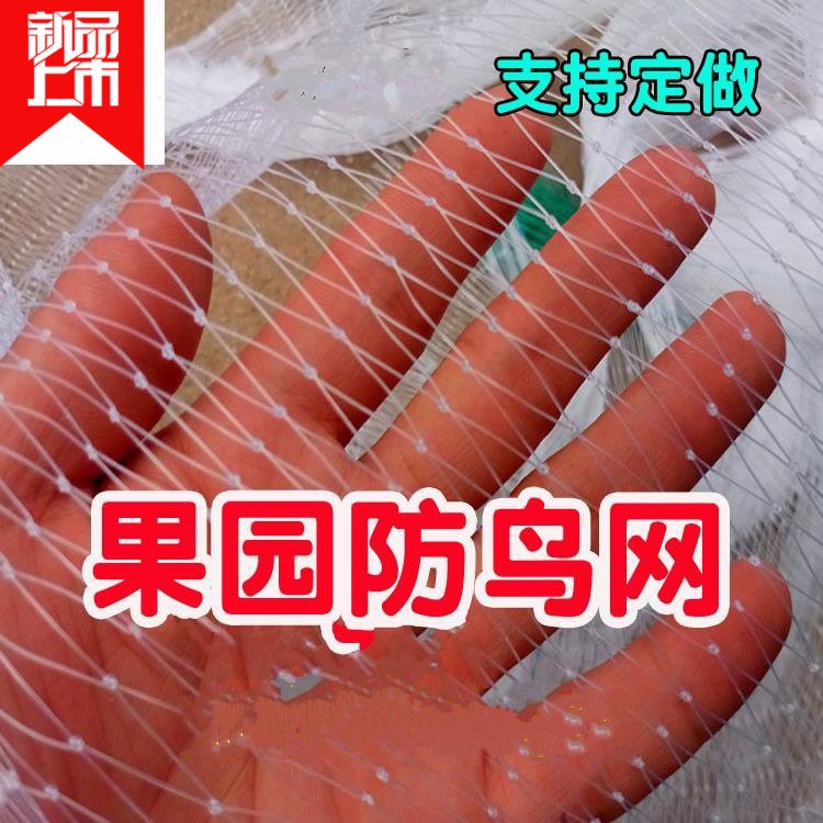 葡萄果园果树专用防鸟网透明尼龙网爬藤网种植物塑料网围网在类目 鲜花速递/花卉仿真/绿植园艺, 园艺用品, 其它园艺用品中 - 来自Buy2taobao.com提供专业的淘宝代购服务