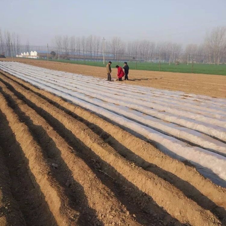 农用盖地膜工具 手拉式覆膜机 覆膜器 铺膜机 覆膜机 地膜覆盖机在类目 农机/农具/农膜, 农业机械, 植保机械中 - 来自Buy2taobao.com提供专业的淘宝代购服务