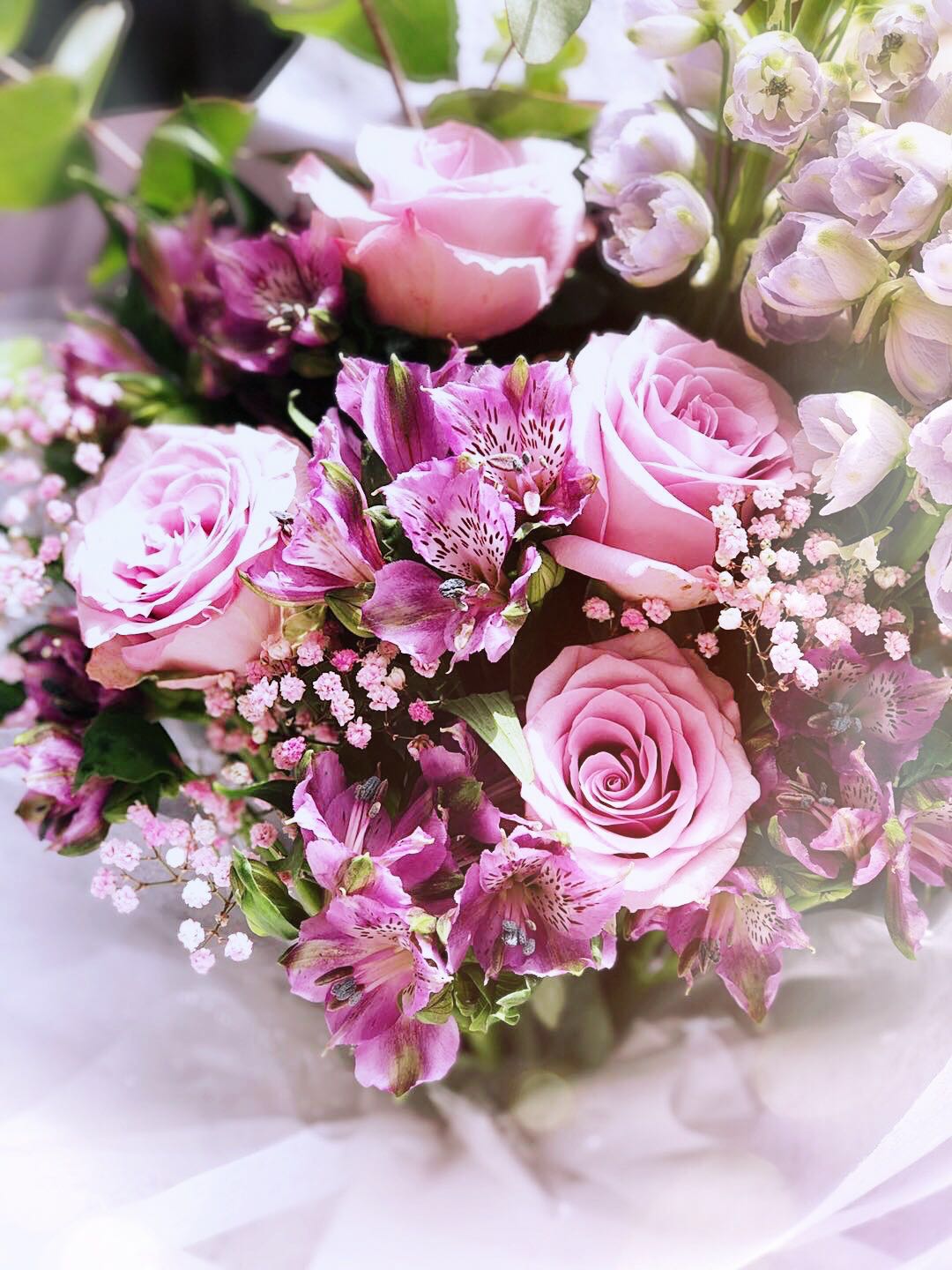 FIONA Flower art domestic Brands Water to keep Flower express Fresh Cut Flowers Home Office Air transportin the Flower delivery/Flowers simulation/Plants gardening , Flower delivery(City) category - from Buy2taobao.com to provide professional Taobao agent buy service