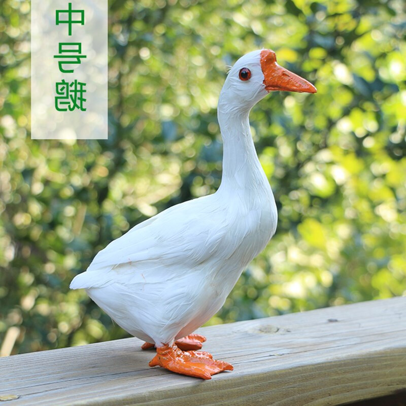 道具大白装饰品仿真鸡鸭动物标本模型创意田园摆件展翅场景在类目 模玩/动漫/周边/cos/桌游, Cosplay服饰/道具/服务, COSPLAY配件/道具/人偶服中 - 来自Buy2taobao.com提供专业的淘宝代购服务