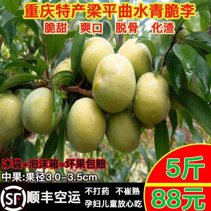 重庆李子梁平曲水青脆脱骨李新鲜现摘李果老礼盒中果5斤顺丰包邮|ruв категории водной мясо/свежие фрукты и овощи/еда, свежие фрукты, слива - от Buy2taobao.com для оказания профессиональной услуги покупки агента Taobao