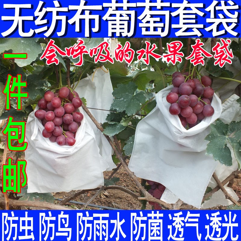 露天用葡萄专用套袋葡萄无纺布袋葡萄袋子葡萄套袋防雨防病防虫袋在类目 鲜花速递/花卉仿真/绿植园艺, 园艺用品, 其它园艺用品中 - 来自Buy2taobao.com提供专业的淘宝代购服务